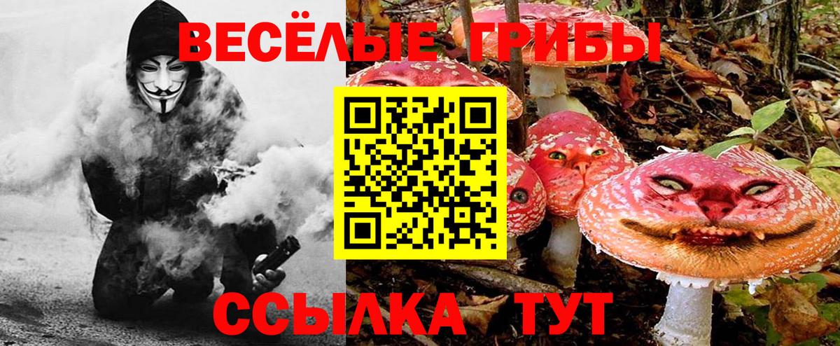 Псилоцибиновые грибы Cubensis  Вход с VPN  Серов  Псилоцибиновые грибы Magic Shrooms 